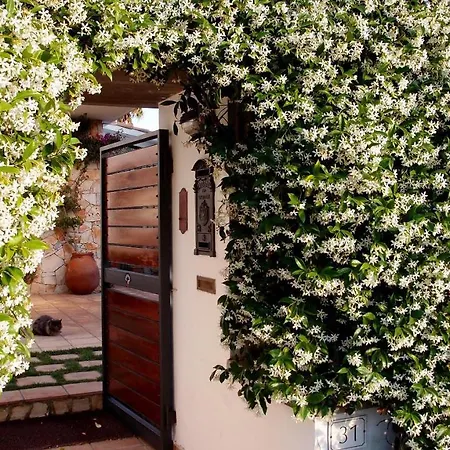 Delle Camelie Villa Merine